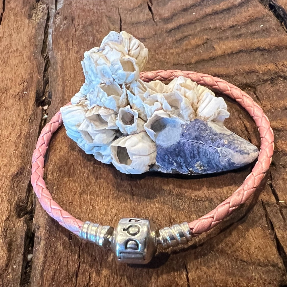 Dior Pink Braided Bracelet with Silver Charm